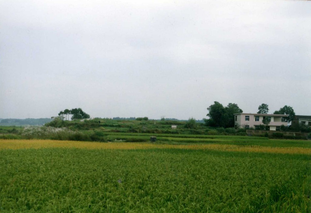 磨山遗址全景